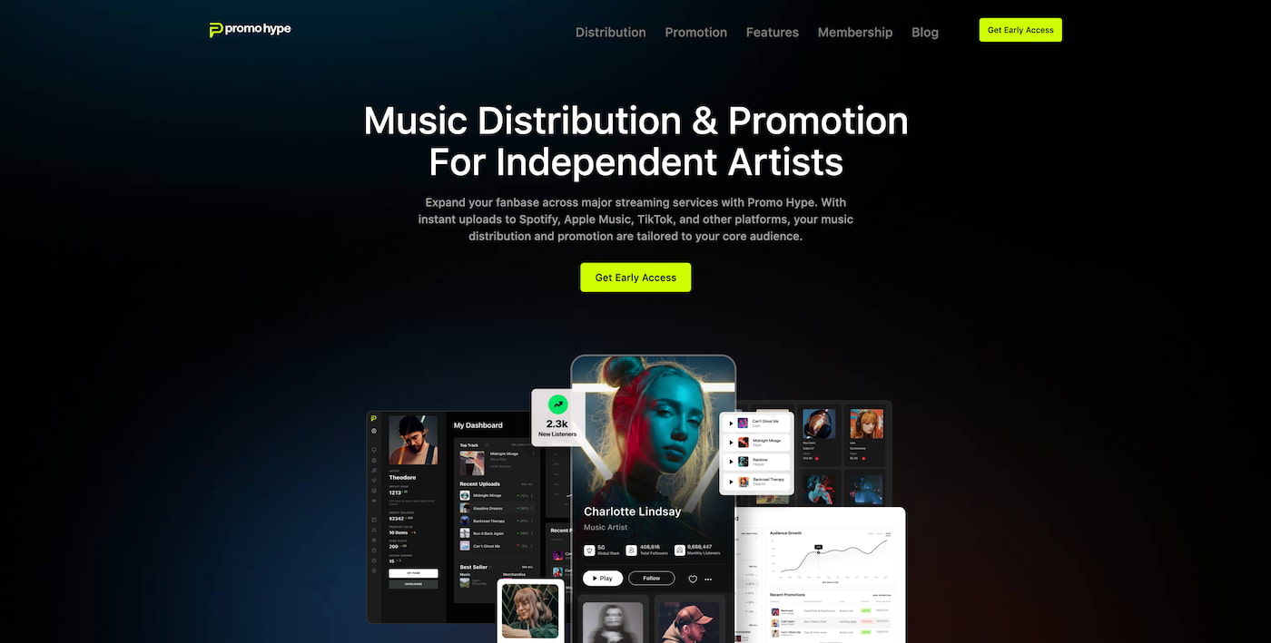Promo Hype Best Music Distribution Service